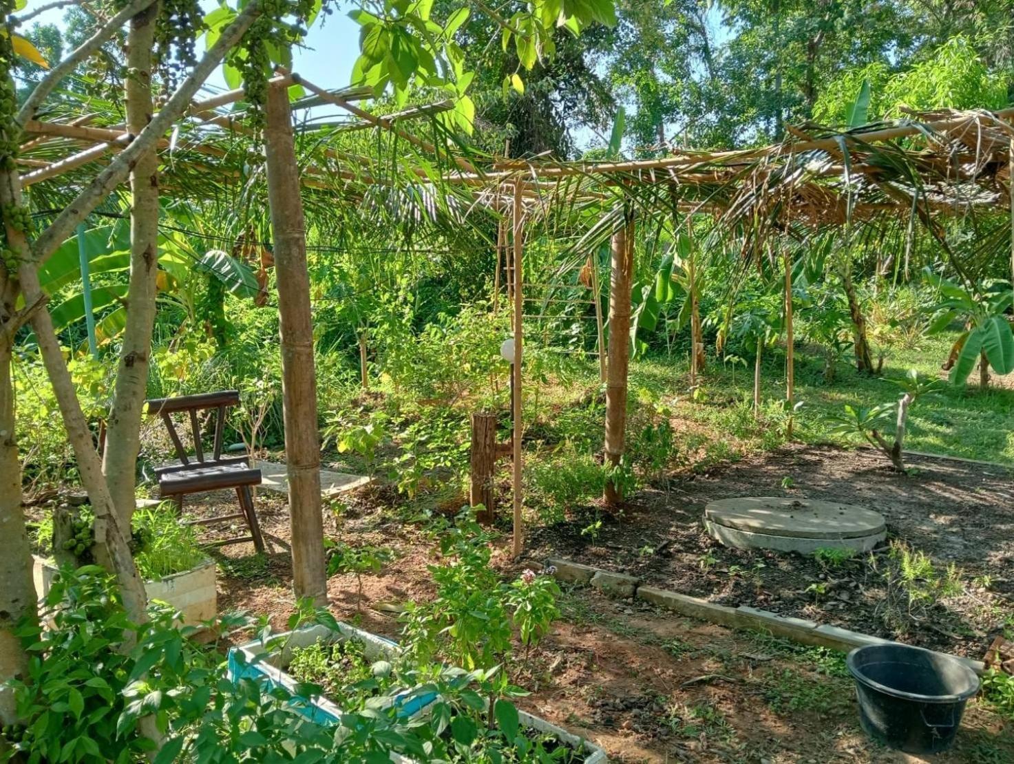The River Retreat Koh Mak Ngoại thất bức ảnh