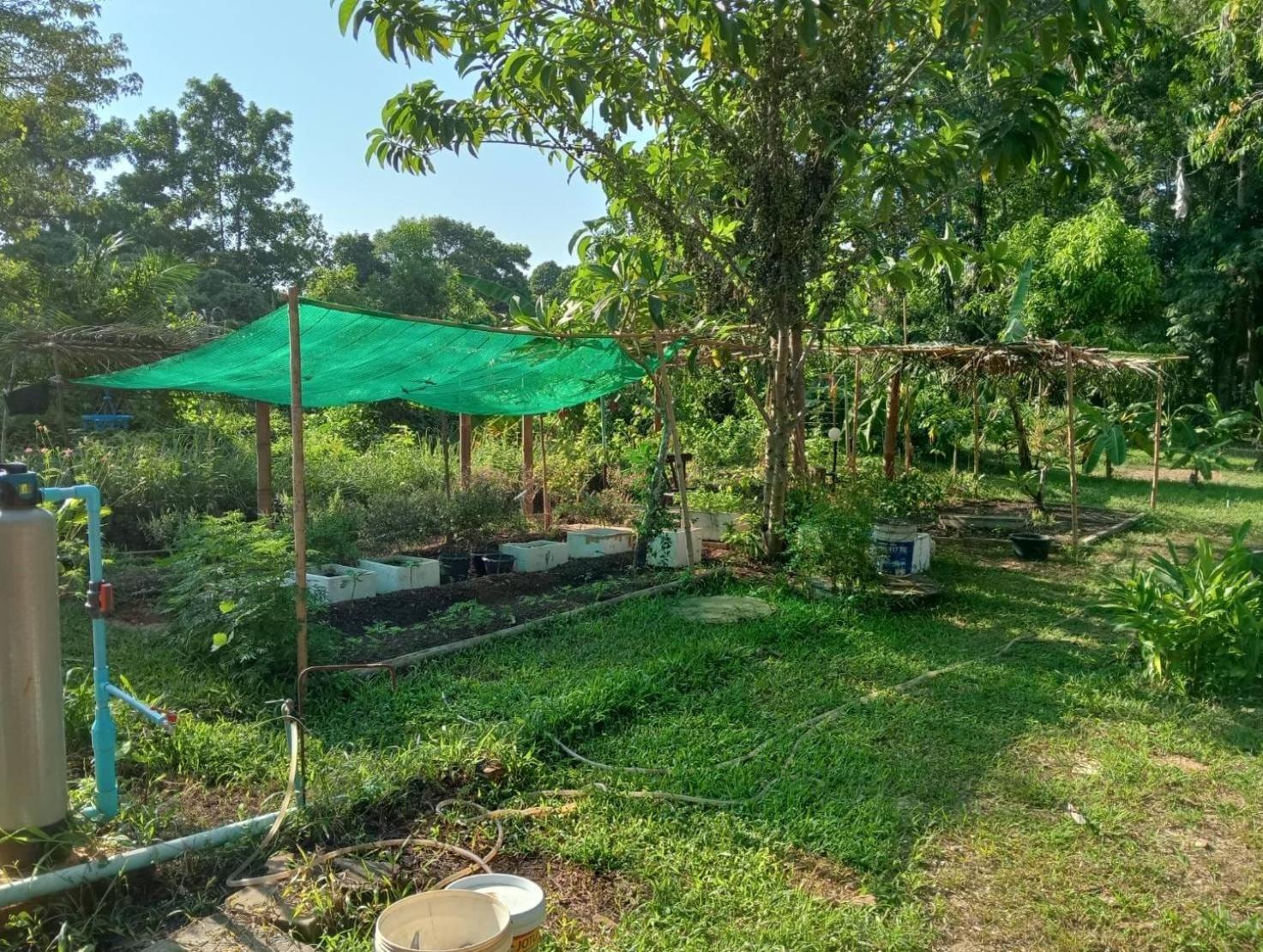 The River Retreat Koh Mak Ngoại thất bức ảnh